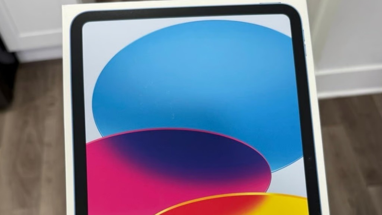 Amir L. winner photo